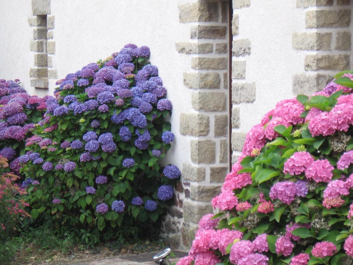 Perrault Gites Loscouet-sur-Meu 外观 照片