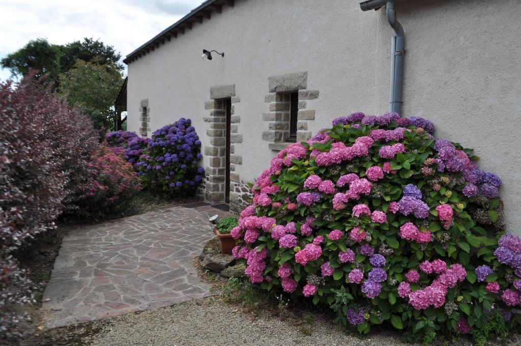 Perrault Gites Loscouet-sur-Meu 外观 照片
